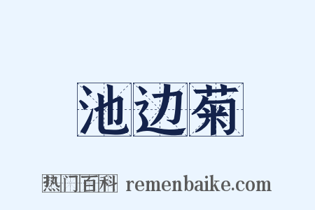 池边菊是什么意思的图片